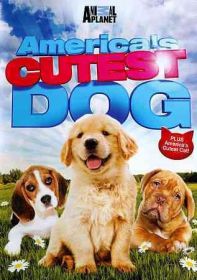 AMERICAS CUTEST DOG (DVD)-NLA