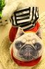 Warmth Pet Dog Clothes Winter Dress Fashion Pet Dog Clothing Red