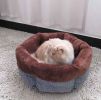 Lovely Design Pet Bed for Dog and Cat Cat Bed