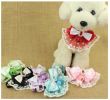 Pet Necklace Pet Cat And Dog Bell Bow Tie Accessories [Bell-10]