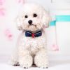 Adjustable Dog/Cat Collar Bow Ties Necklace With Bell Grooming Accessories, F