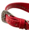 Fashionable Rhinestone Decorated Adjustable Dog Collar Red(Fit 21~26cm neck)