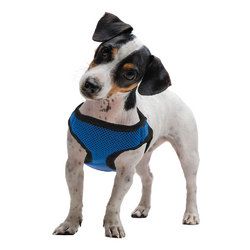 Small Blue Soft'n'Safe Dog Harness